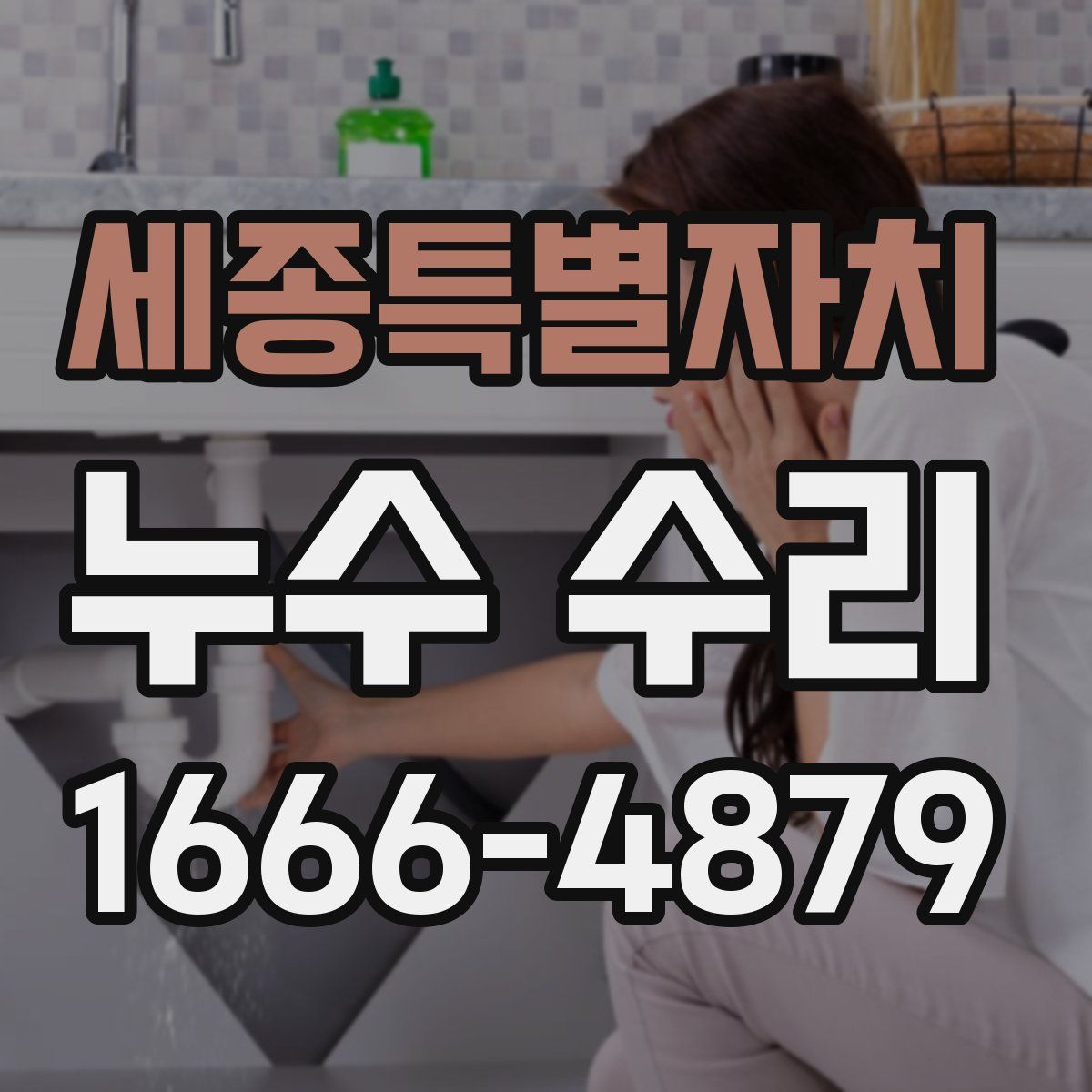 세종특별자치 누수 수리