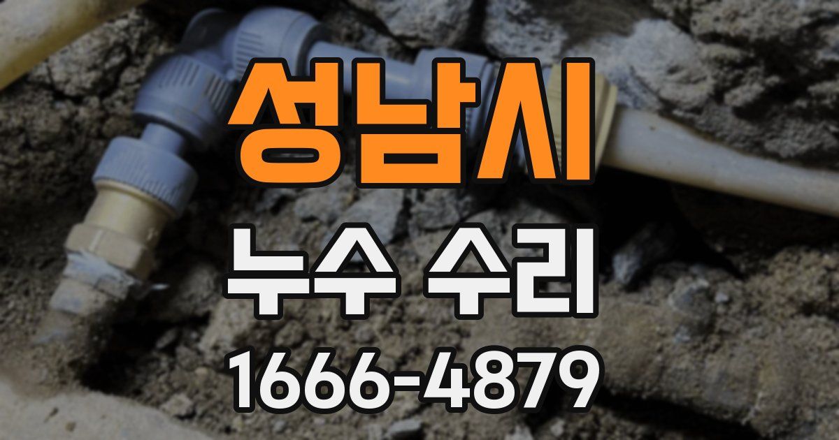 성남시 누수 수리