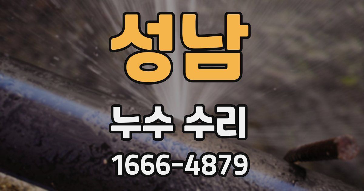 성남 누수 수리