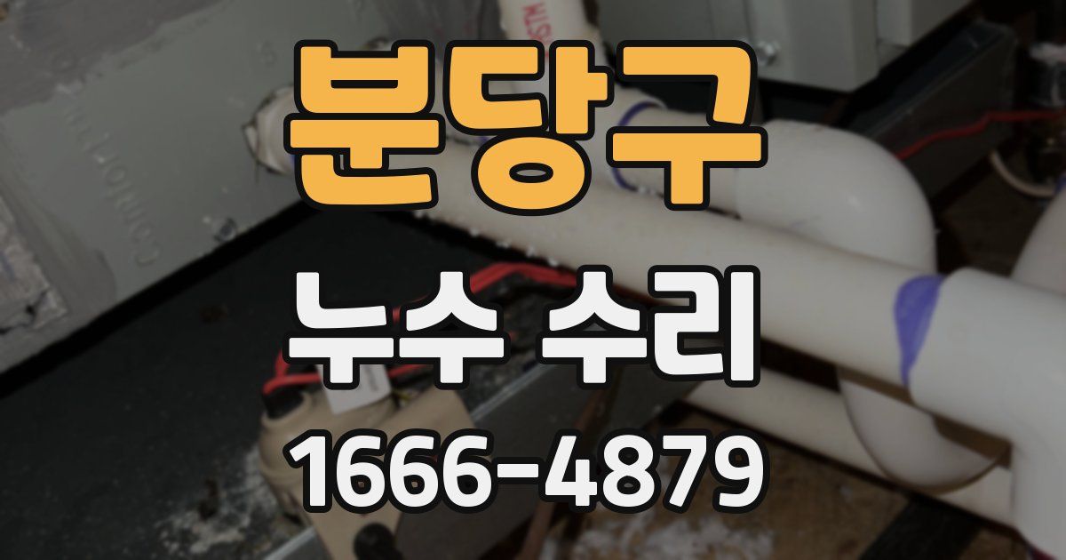 분당구 누수 수리