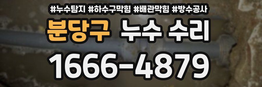 분당구 누수 수리