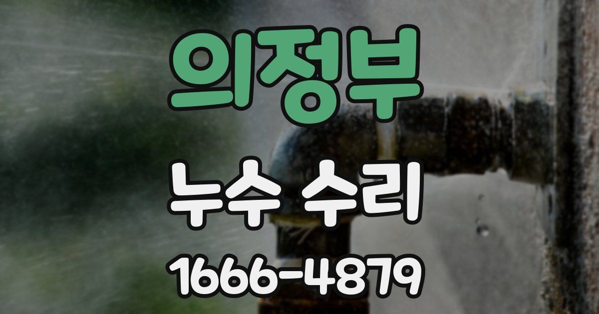의정부 누수 수리
