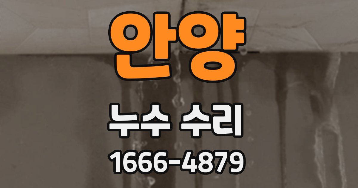 안양 누수 수리