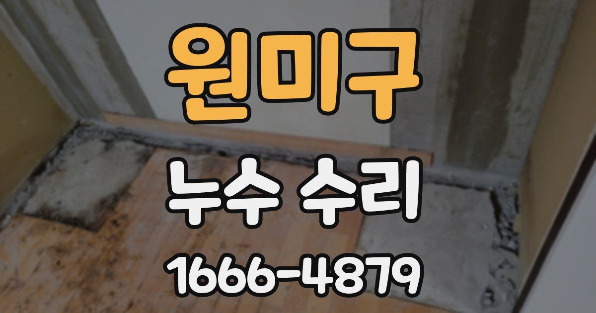원미구 누수 수리