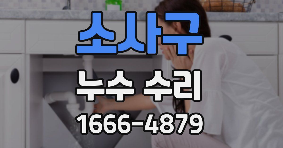 소사구 누수 수리