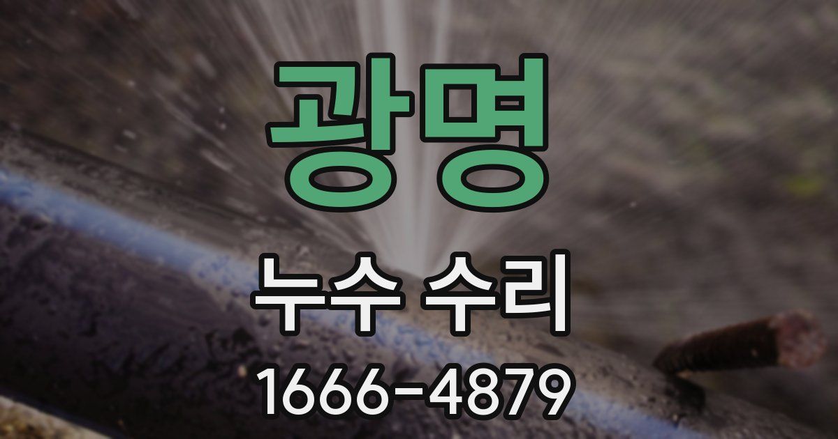 광명 누수 수리