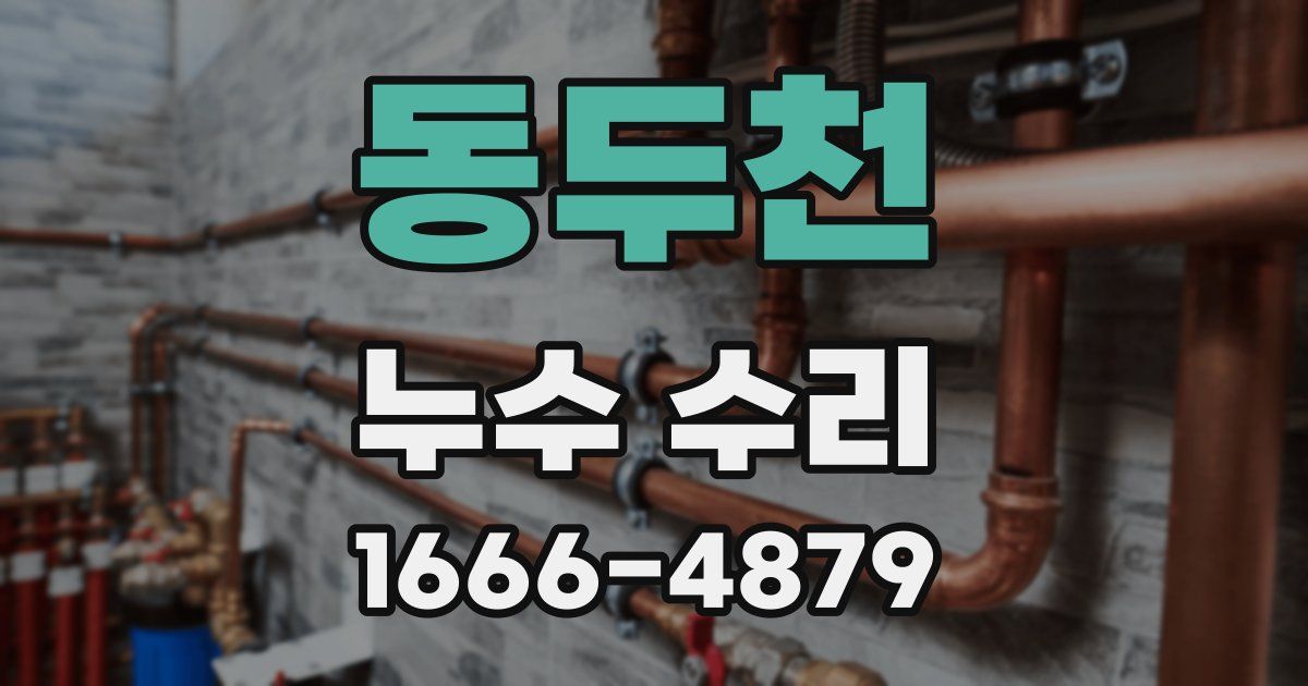 동두천 누수 수리
