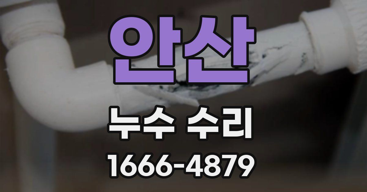안산 누수 수리