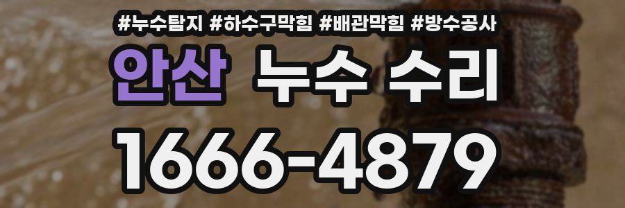 안산 누수 수리