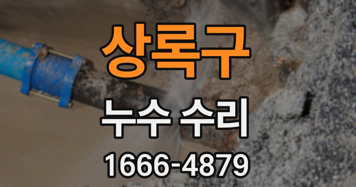 상록구 누수 수리