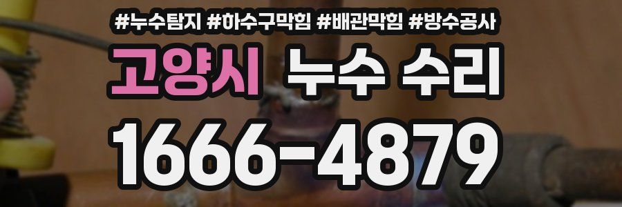 고양시 누수 수리
