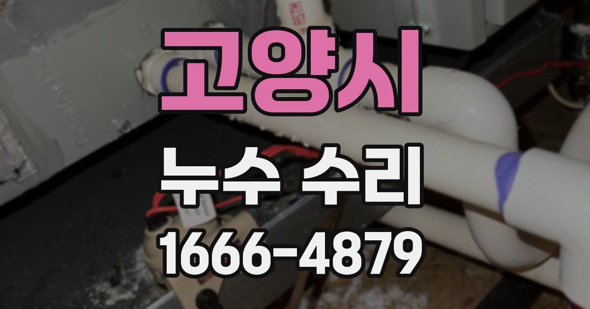 고양시 누수 수리
