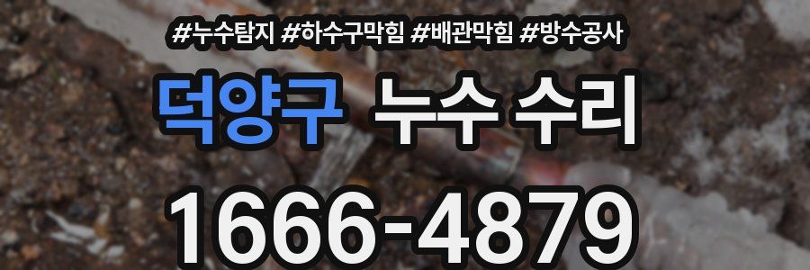 덕양구 누수 수리