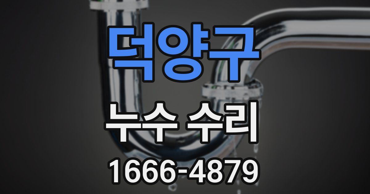 덕양구 누수 수리