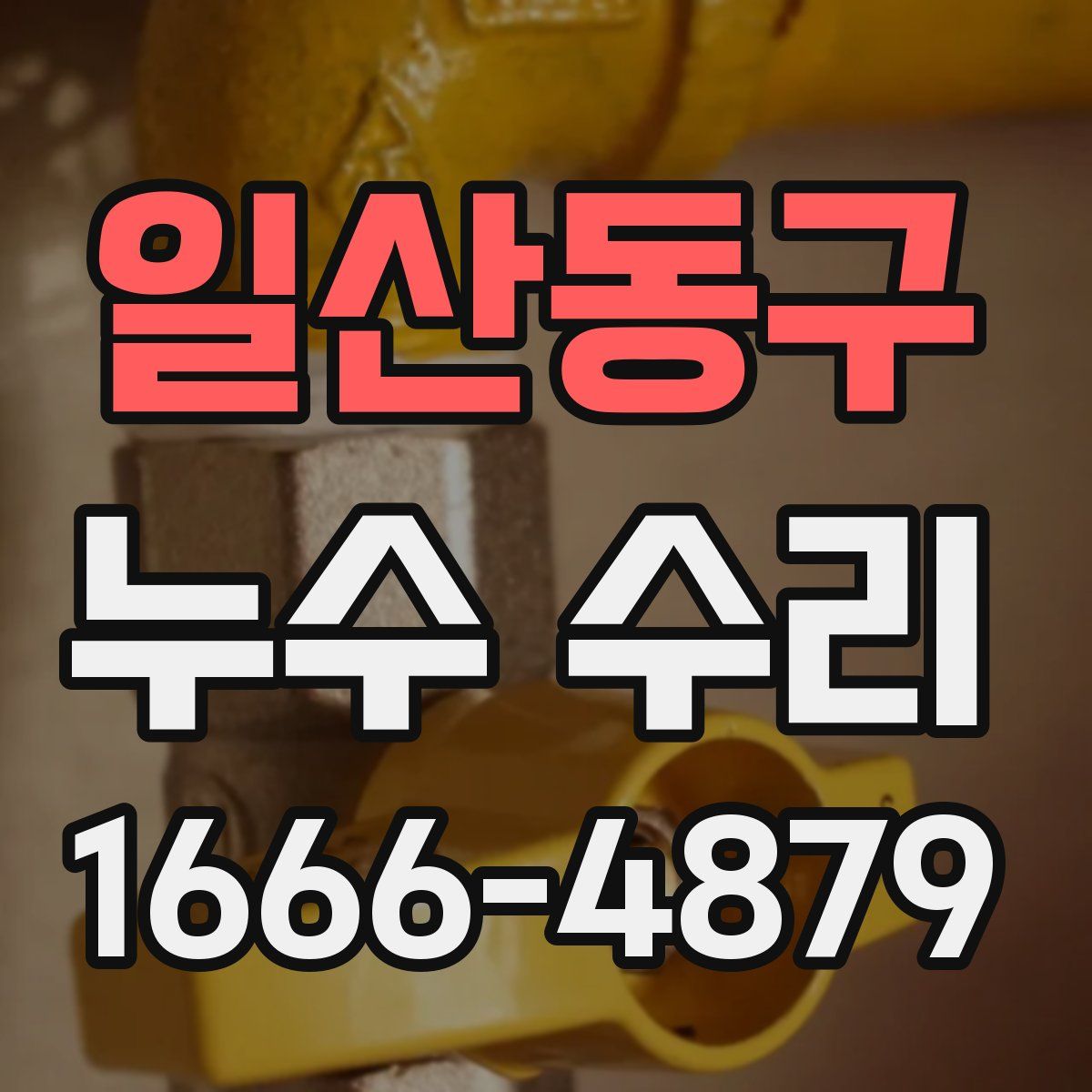일산동구 누수 수리