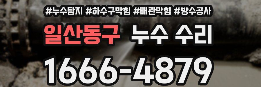 일산동구 누수 수리