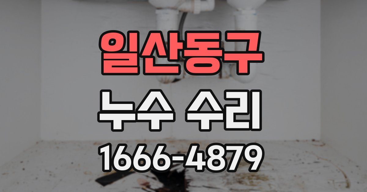 일산동구 누수 수리