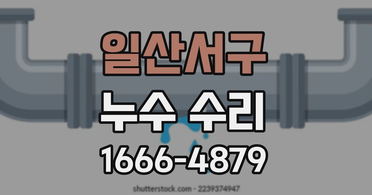 일산서구 누수 수리