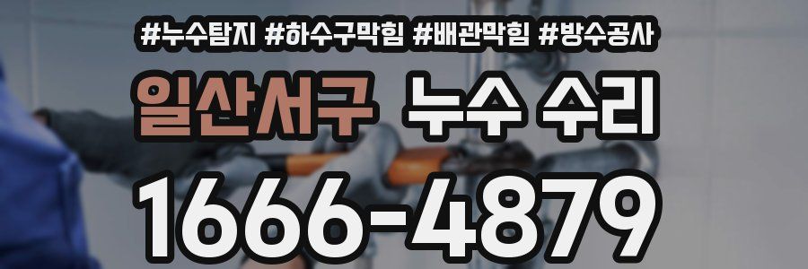 일산서구 누수 수리