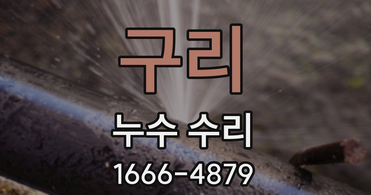 구리 누수 수리