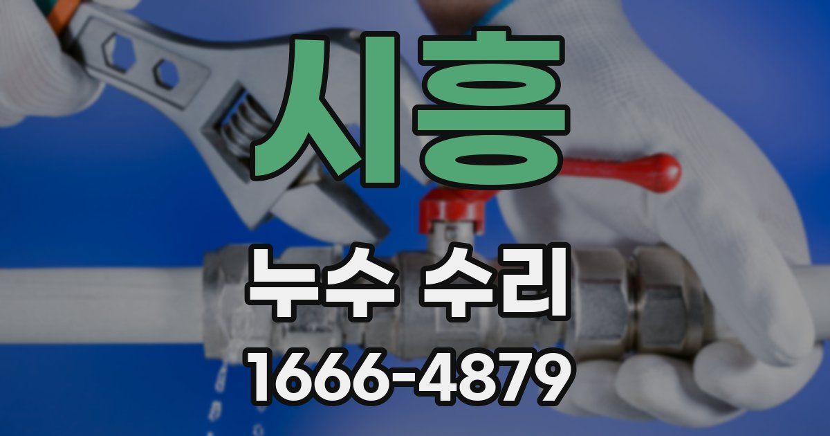 시흥 누수 수리