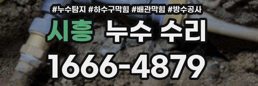 시흥 누수 수리