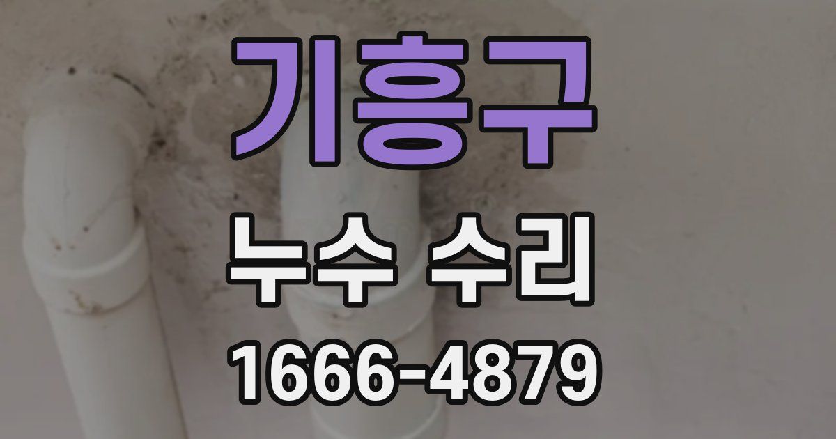 기흥구 누수 수리