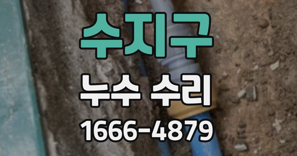 수지구 누수 수리