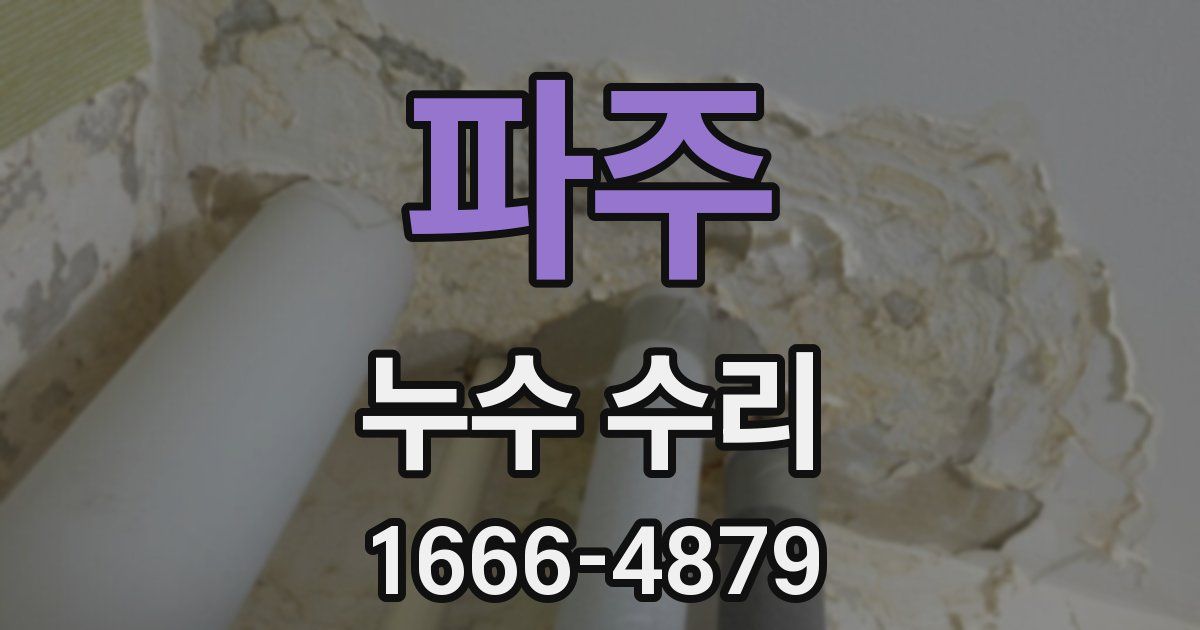 파주 누수 수리