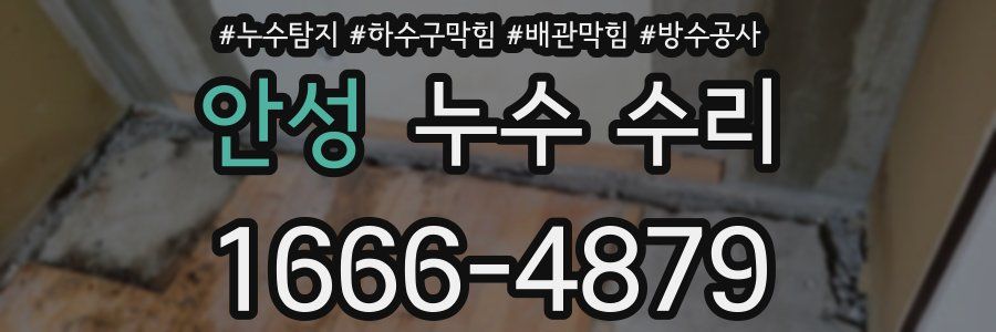안성 누수 수리