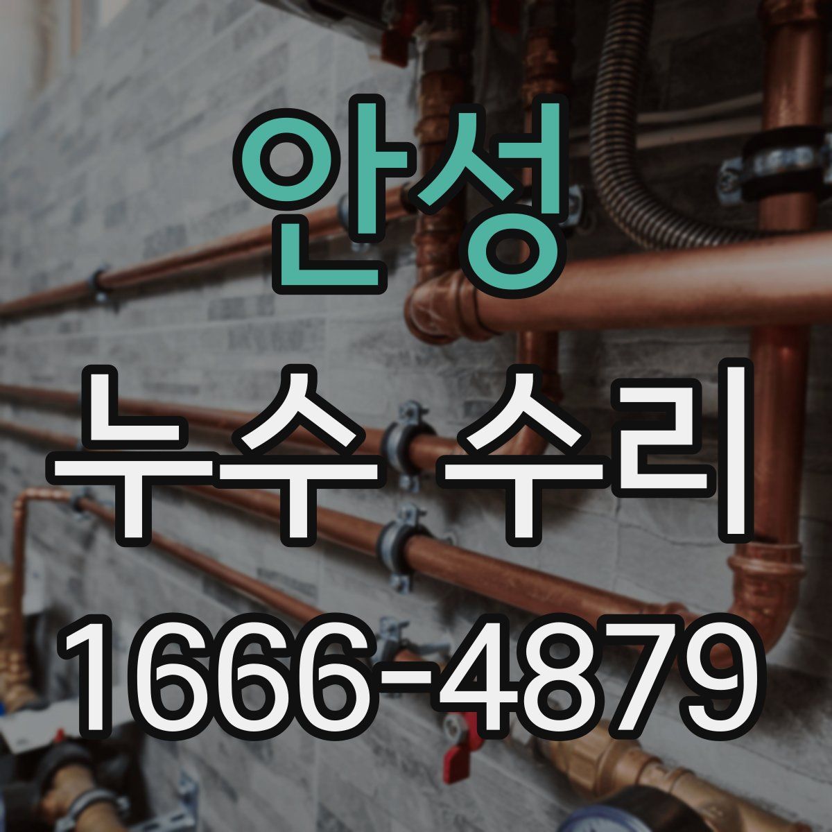 안성 누수 수리
