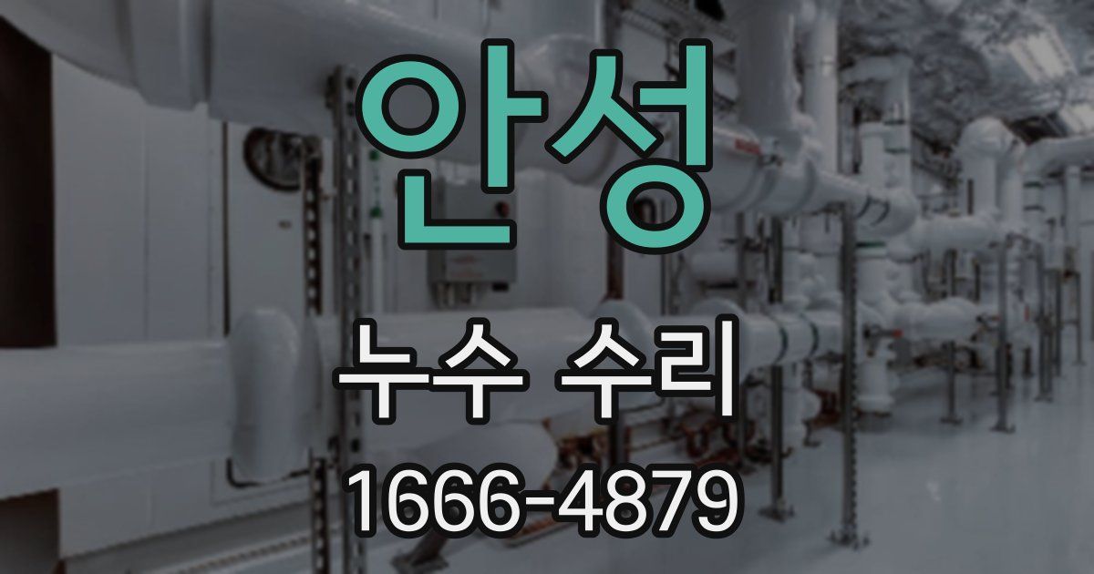 안성 누수 수리