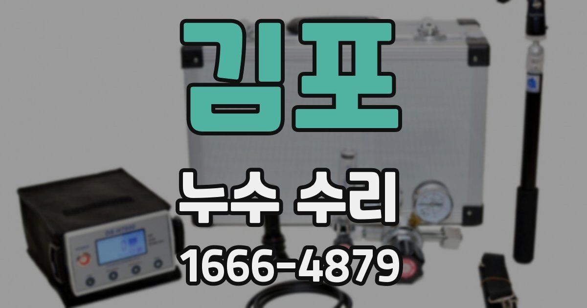 김포 누수 수리