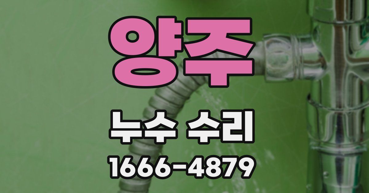 양주 누수 수리