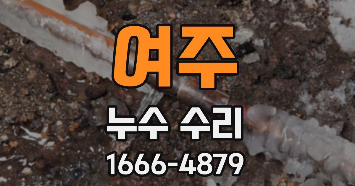 여주 누수 수리