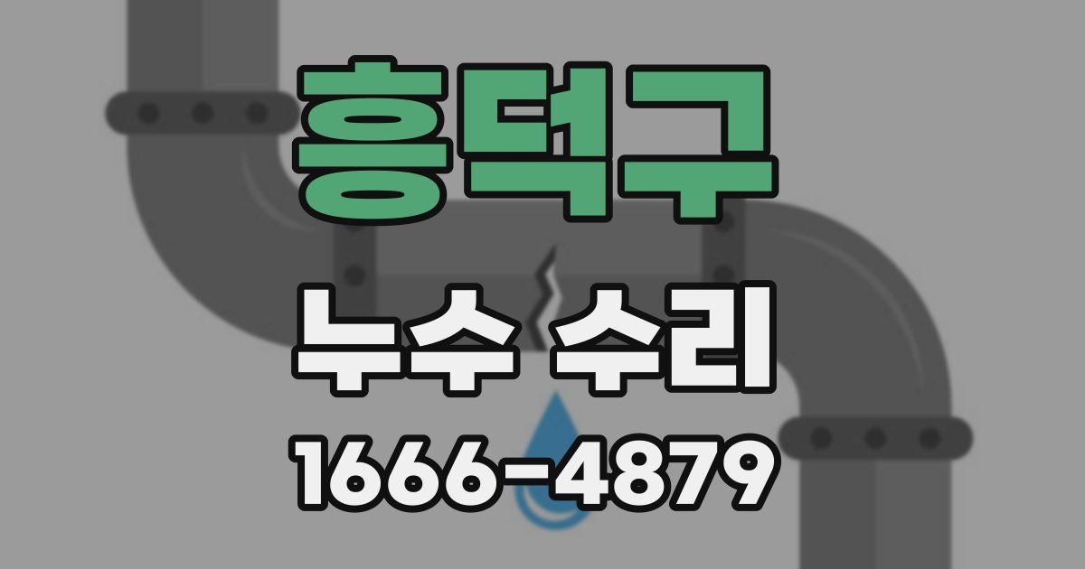 흥덕구 누수 수리