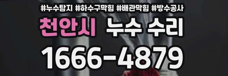 천안시 누수 수리