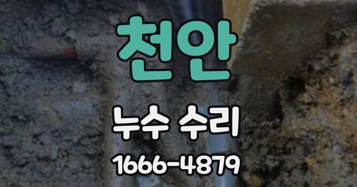 천안 누수 수리