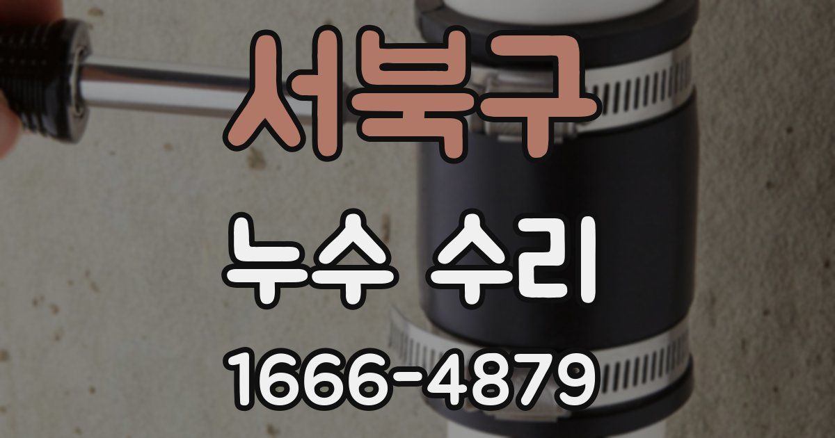 서북구 누수 수리