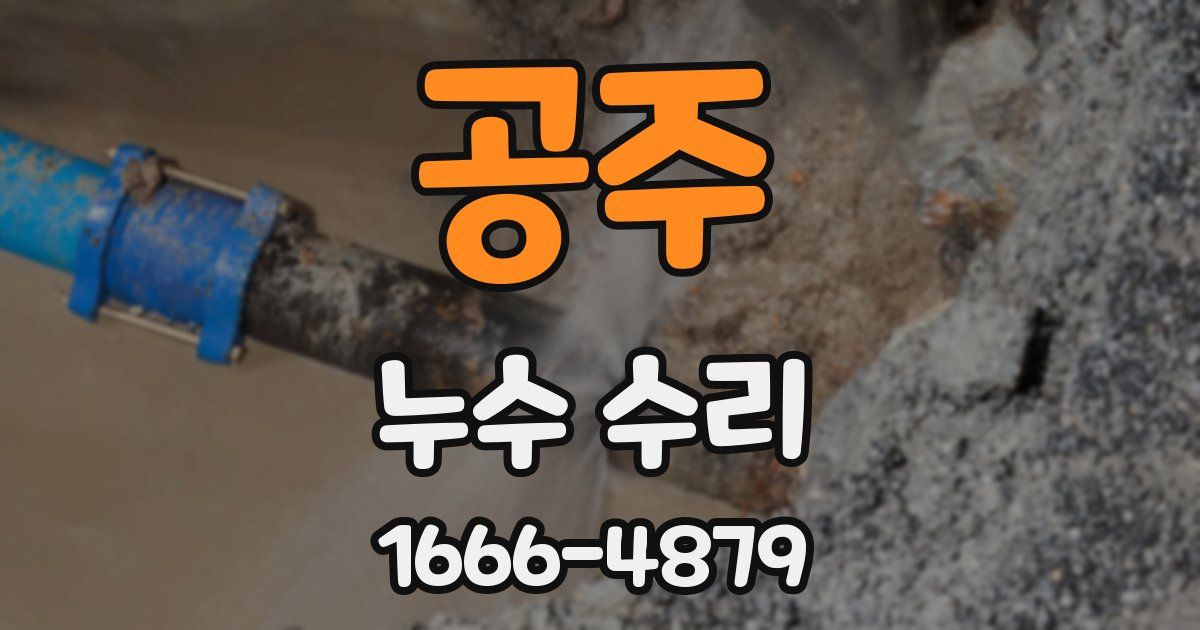 공주 누수 수리