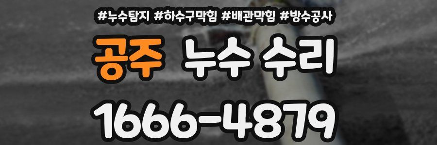 공주 누수 수리