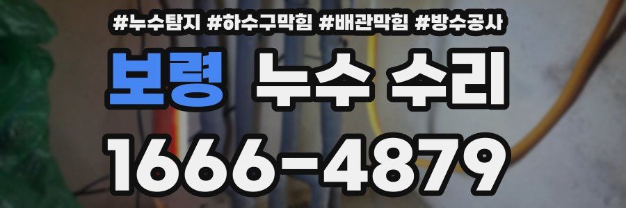 보령 누수 수리