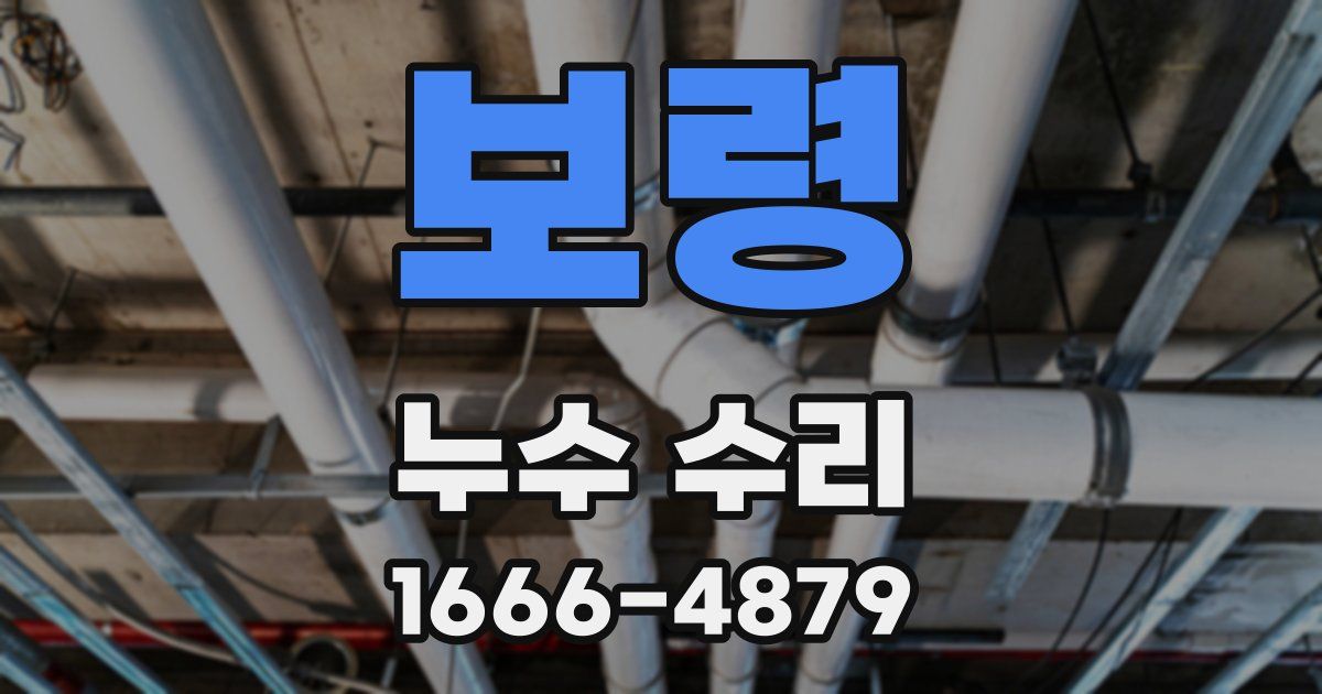 보령 누수 수리