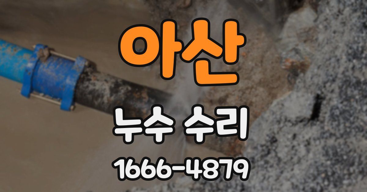 아산 누수 수리