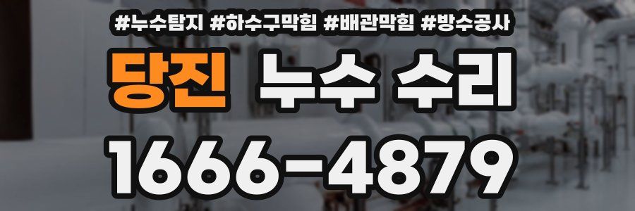 당진 누수 수리