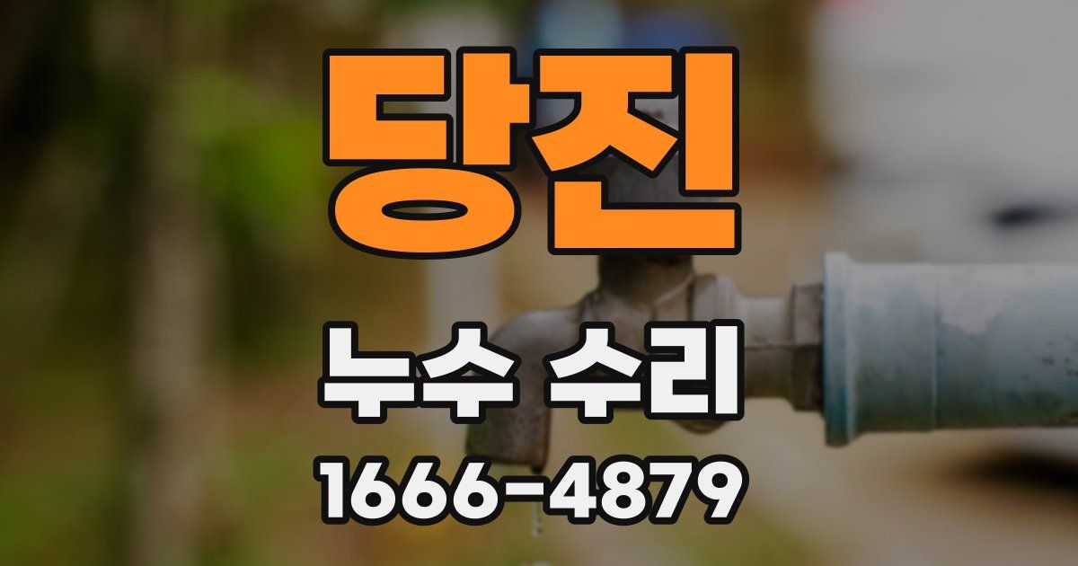 당진 누수 수리