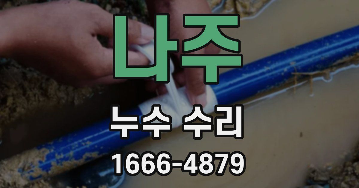 나주 누수 수리