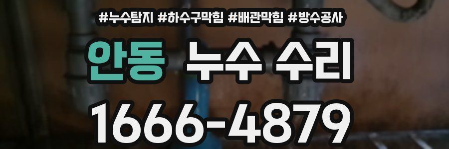 안동 누수 수리