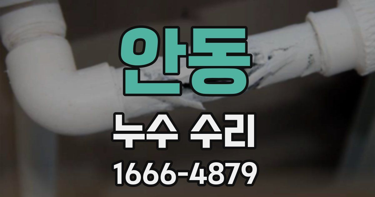 안동 누수 수리