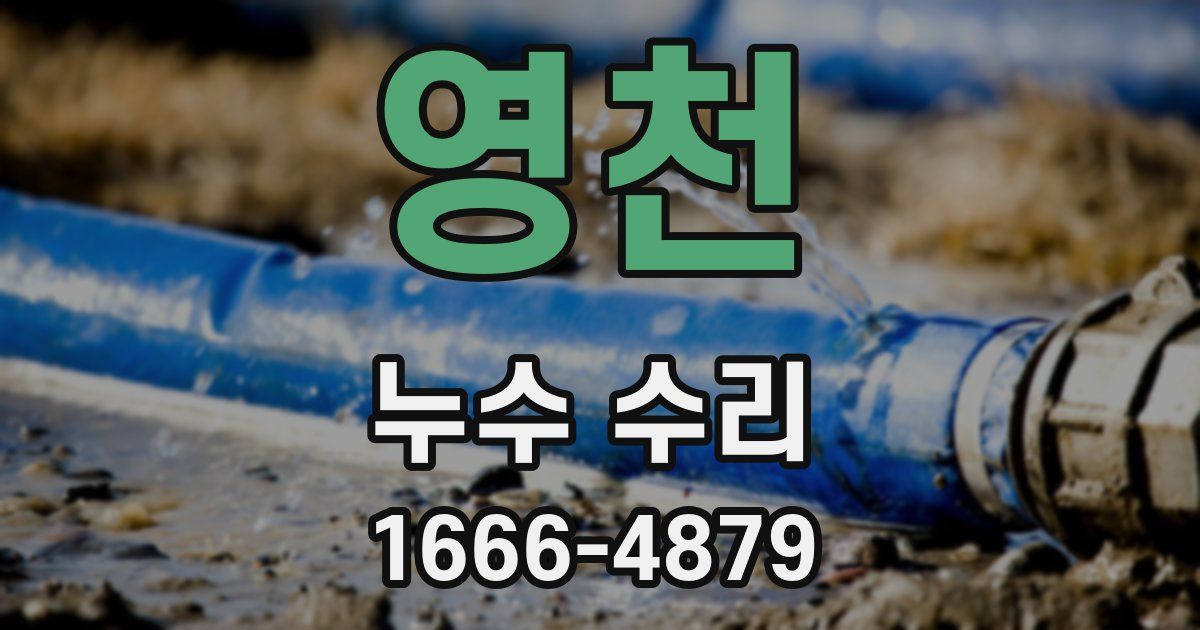 영천 누수 수리
